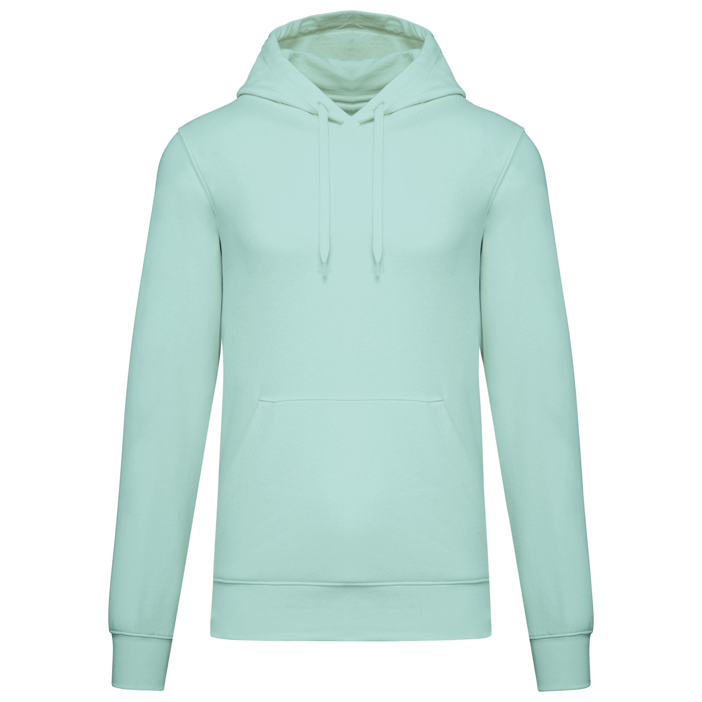 Hoodie coton bio homme — Ice Mint