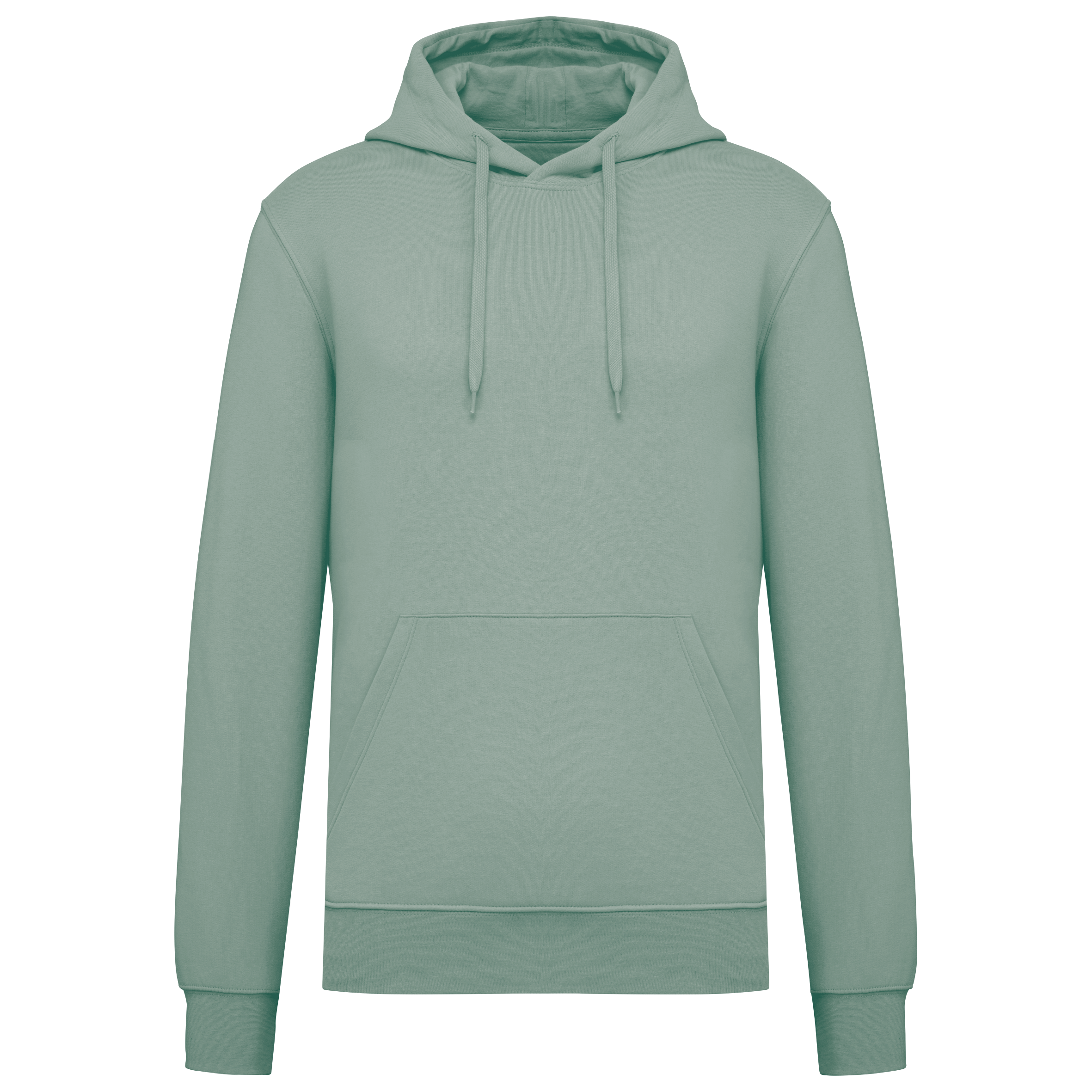 Hoodie coton bio homme — Sage